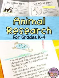 an animal research book for grade k - 4 with the title, my animal research