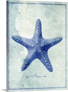 a blue and white starfish is shown in this artistic photo canvas print on the wall