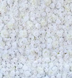 white flowers are arranged in rows on the wall