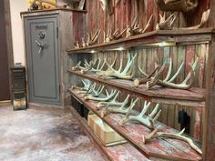 antlers are lined up on wooden shelves in a room with red and gray walls