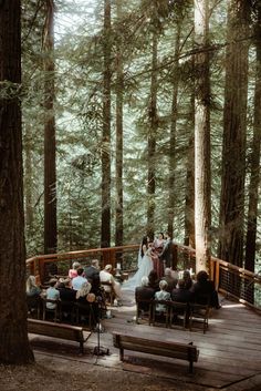 a couple getting married in the woods by their wedding party and guests sitting on benches