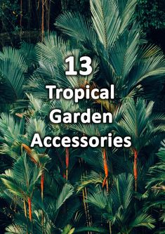 palm trees with the text 13 tropical garden accessories