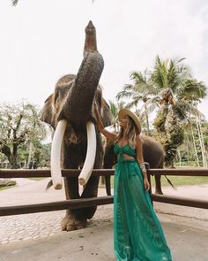 a woman standing in front of an elephant