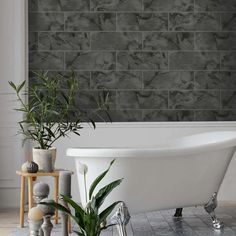 a bath tub sitting next to a plant on top of a wooden table in front of a brick wall