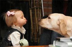 oh yeah? Puppy Kisses, Dogs And Kids, Cute Animal Pictures, Adorable Pets, Bloopers, Cutie Pie, Funny Animal Pictures, Baby Dogs, Dog Life