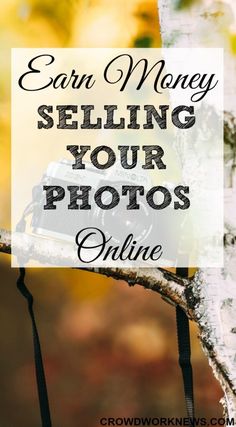 a camera sitting on top of a tree branch with the words earn money selling your photos online