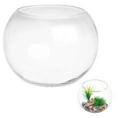 a fish bowl filled with water and rocks next to a small green plant in it