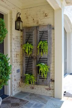 an old window with some plants growing out of it