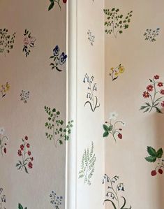 the wall paper is decorated with flowers and berries on it's side, along with other floral designs