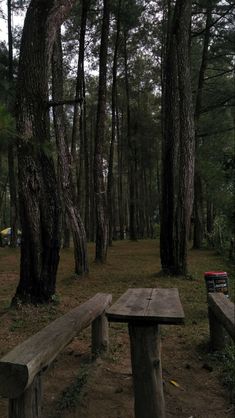 two wooden benches sitting in the middle of a forest with tall trees behind them and a picnic table next to it