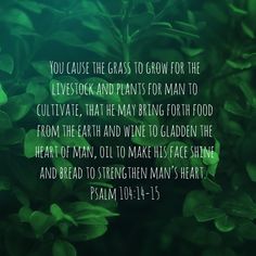 green leaves with the words you cause the gas to grow for the livestock and plants for man to cultivate, that he may bring forth