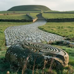 a stone path in the middle of a grassy field