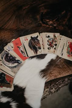 a cat laying on top of a wooden table next to playing cards with different designs