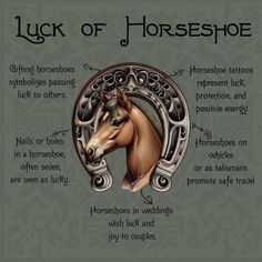 a horse's head with the words luck on it