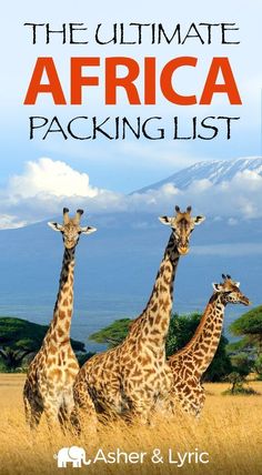 three giraffes standing in tall grass with the words, the ultimate africa packing list