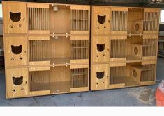 two large wooden cages with cats in them