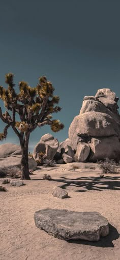 some rocks and trees in the desert under a blue sky