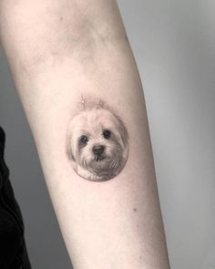 a small white dog's head in a circle tattoo on the arm