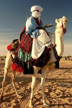 a man riding on the back of a white camel