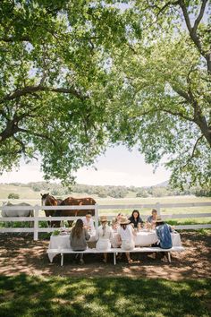 people sitting at a table in the shade under a tree with cows grazing on the other side