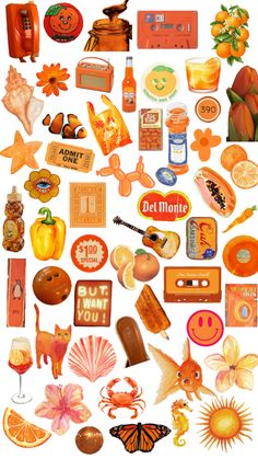 an assortment of oranges and other items on a white background