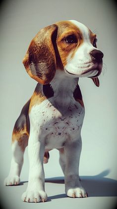 a small brown and white dog standing on top of a white floor next to a wall