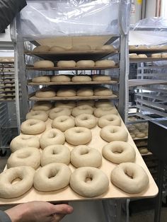 the doughnuts are being made and ready to be put into the oven for consumption