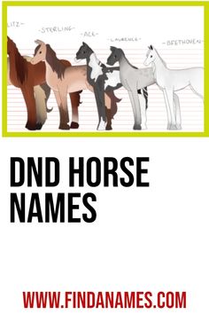 an image of horse names on a white background with the words, dnd horse names