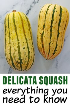 Delicata squash everything you need to know pinterest pin How To Cook Delicate Squash, Delicata Squash Plant, Freezing Delicata Squash, How To Freeze Delicata Squash, Growing Delicata Squash