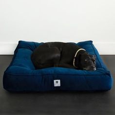 a black dog laying on top of a blue bed in the middle of a room