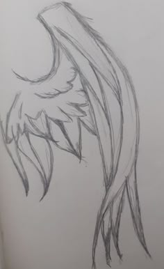 a pencil drawing of a bird's tail