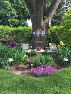 a garden with flowers and chairs under a large tree in the middle of it's yard