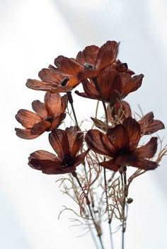 some brown flowers are in a glass vase