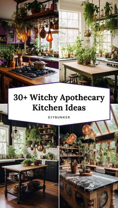 the kitchen is filled with potted plants and hanging pots