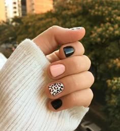 Black Colorful Nails, Simple Gel Nail Ideas, Dipped Powder Nails Ideas, Short Western Nails, Western Nails, Nails Art Designs, Nails Gel Nails, Short Gel Nails, Red Aspen