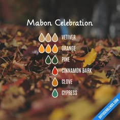 Essential Oils For Mabon, Mabon Oil Recipe, Mabon Essential Oil Blends, Fall Leaves Essential Oil Blend, Mabon Diffuser Blends, Mabon Oil Blend, Mabon Incense, Autumn Essential Oil Blends, Mabon Celebration