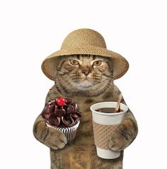 a cat wearing a straw hat holding a donut and cup of coffee