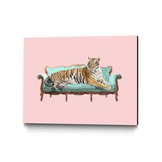 a large tiger laying on top of a couch with pink walls in the back ground