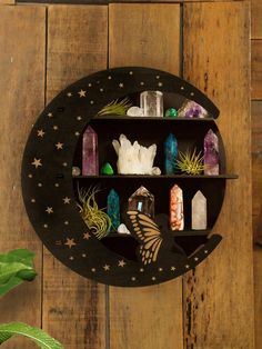 a wooden wall shelf filled with lots of different types of rocks and plants on top of it