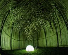 the inside of a green tunnel with grass growing on it's sides and a light at the end