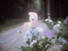 a teddy bear sitting on the side of a road next to flowers