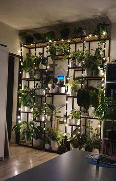 a room filled with lots of plants and lights on the wall next to a table