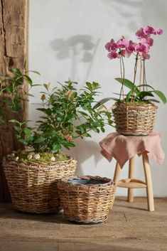 three wicker baskets with flowers in them