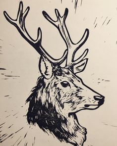 a black and white drawing of a deer with antlers on it's head