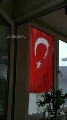 there is a red flag on the window sill in front of a potted plant