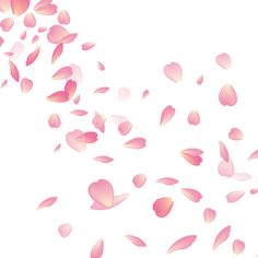 pink petals falling down into the air