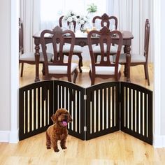 a brown dog standing in front of a black gate on top of a wooden floor