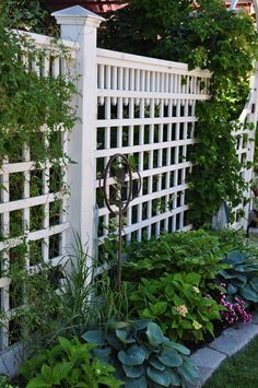 a garden with white trellis and lots of green plants in front of the fence