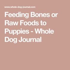 feeding bones or raw foods to puppies - whole dog journal