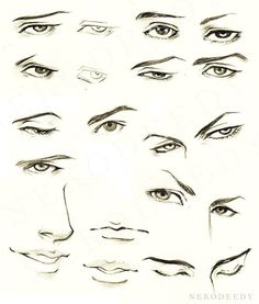 various types of eyes drawn in pencil